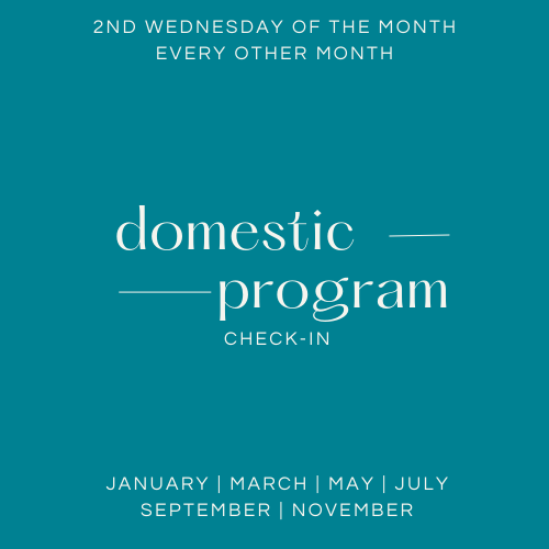 Domestic Program Check-In